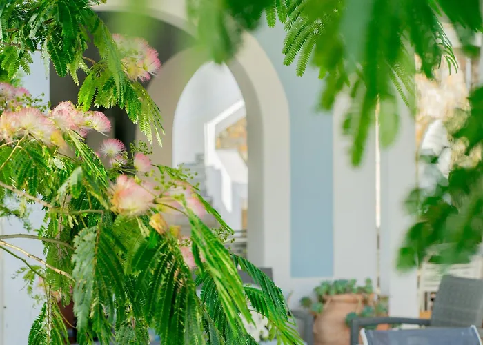 Bed & Breakfast Acacia Ponza