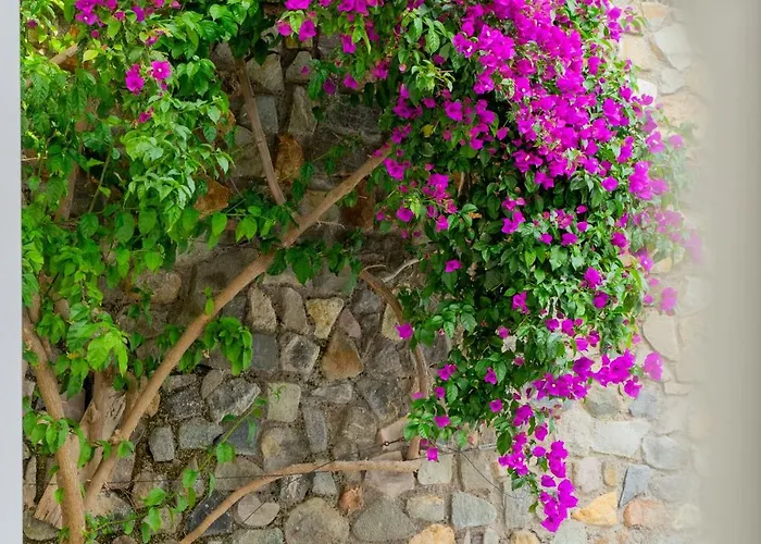 Acacia Bed & Breakfast