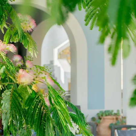 فندق مبيت وإفطار Acacia بونسا