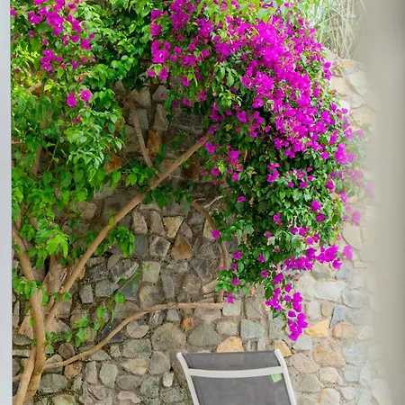 Acacia Bed & Breakfast