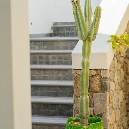 Acacia فندق مبيت وإفطار 3*